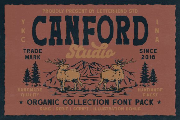 Canford Trio: A Display Font Built for Campaigns That Need Personality