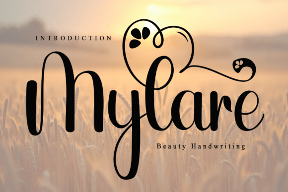 Mylare: A Sweet Handwritten Font for Clearer Campaign Messaging