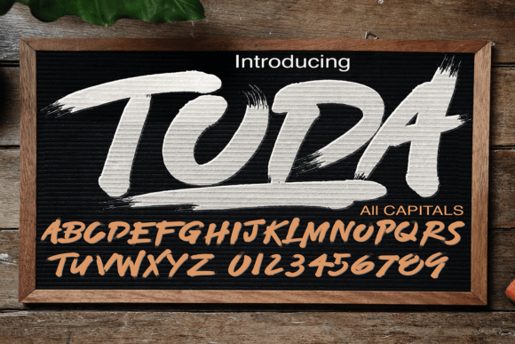 Toda Script Font: Bold Curves for Editorial Design